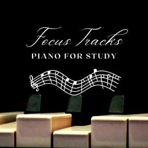 Soothing Pianoscapes: A Spa Experience - Soothing Piano Classics for Sleeping Babies