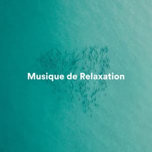 Musique de relaxation - Musique de Relaxation
