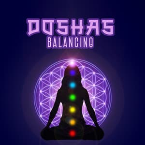 Doshas Balancing: Cleanse Your Chakras, Boost Positive Energy, Bring Back Balance - Sacral Chakra Universe