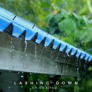 Lashing Down - Oh so Tired