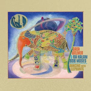 Dancing With Elephants - Gaia Wilmer