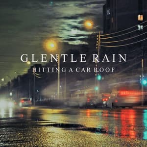Gentle Rain Hitting a Car Roof - Background Noise From TraxLab