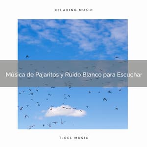 Música de Pajaritos y Ruido Blanco para Escuchar - Ruido Para Bebé