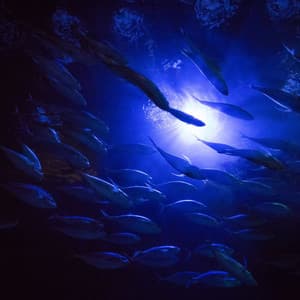 Deep Journey - Soothing Symphony