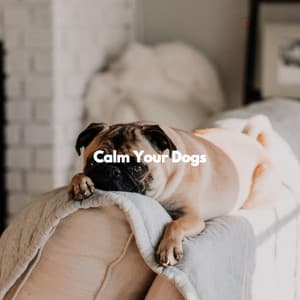 Calm Your Dogs - Smooth Deluxe Dinner Jazz Group