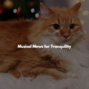 Musical Mews for Tranquility - Chillout Jazz