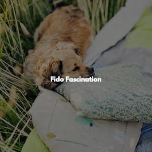 Fido Fascination - Cheerful Instrumental Cafe Jazz