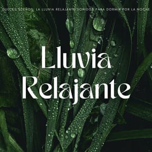 Dulces Sueños: La Lluvia Relajante Sonidos Para Dormir Por La Noche - Sonidos de Lluvia Ruido Blanco Dormir