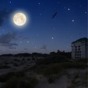 Beautiful Sleepy Songs | Powerful Sleep - Study Music