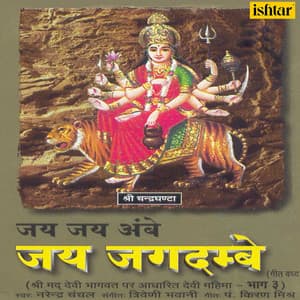 Jai Jai Ambe Jai Jagdambe, Pt. 3 - Narendra Chanchal