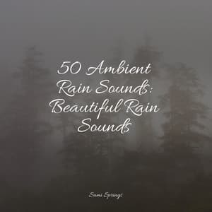 50 Ambient Rain Sounds: Beautiful Rain Sounds - Nature Sounds Collection