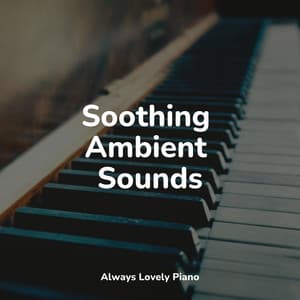 #50 Calming Music Therapy - Piano Music