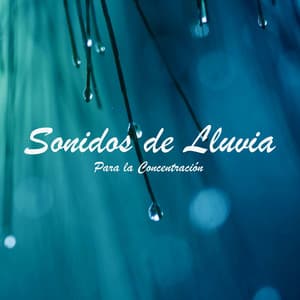Sonidos de Lluvia para la Concentración - Música de concentración profunda