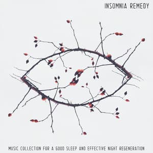 Insomnia Remedy: Music Collection for a Good Sleep and Effective Night Regeneration - Sleep System