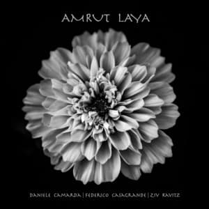 Amrut Laya - Daniele Camarda