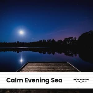 Calm Evening Sea - Relaxing Ocean Sounds