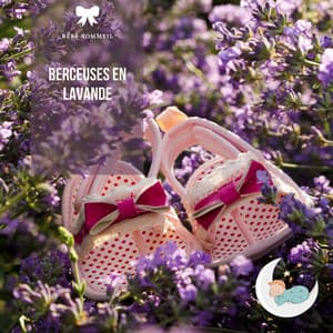Berceuses en lavande: Rêves de boîte à musique - Bébé Sommeil