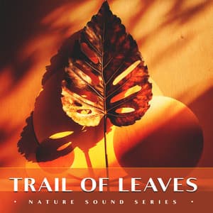 Trail of Leaves - Nature Sound Series