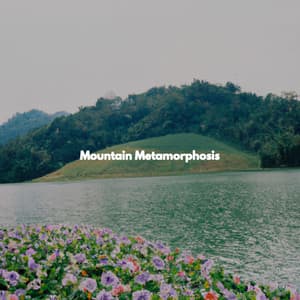 Mountain Metamorphosis - Light Dinner & Jazz