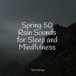 Spring 50 Rain Sounds for Sleep and Mindfulness - Sleep Makers Samples