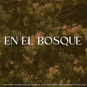 En El Bosque: Canciones Tranquilas De Pájaros Para Sentirte Completamente Relajado - Sonidos de la naturaleza báltica