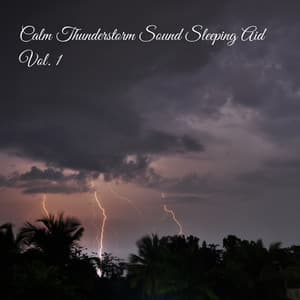 Calm Thunderstorm Sound Sleeping Aid Vol. 1 - Thunderstorm