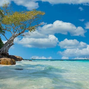 Time to Relax and Unwind - Best Relaxation Music