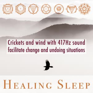 Crickets And Wind With 417Hz Sound Facilitate Change And Undoing Situations - Healing Sleep