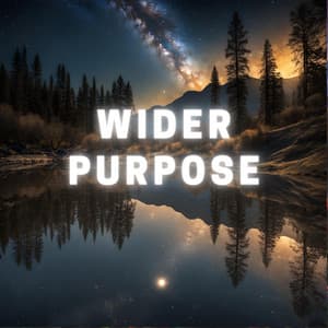 Wider Purpose - Comet 1993