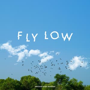 Fly Low - Swedish-Bird-Sounds