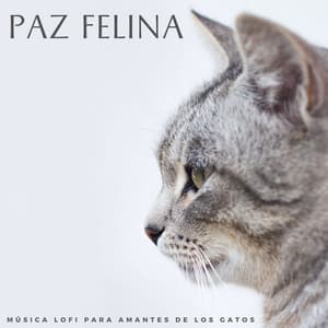 Paz Felina: Música Lofi Para Amantes De Los Gatos - Lofiwaala