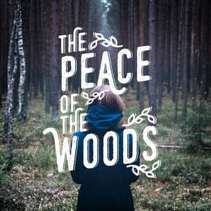 The Peace of the Woods - Nature Sounds for Concentration