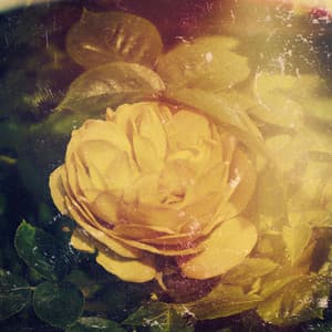 30 Day Boost: Limitless Bravery - Spa Music Relaxation