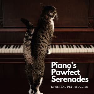Piano's Pawfect Serenades: Ethereal Pet Melodies - Pianopassion