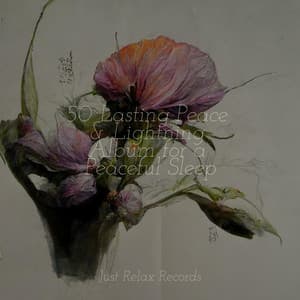 50 Lasting Peace & Lightning Album for a Peaceful Sleep - Sonidos De Lluvia y Tormentas