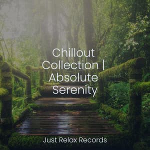 Chillout Collection | Absolute Serenity - Meditation
