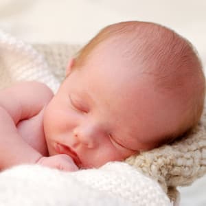 Cozy Aviary: Ambient Bird Songs for Peaceful Baby Sleep - Breastfeeding Music