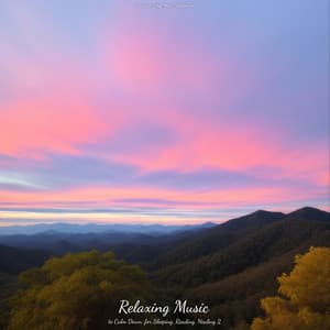 Relaxing Music to Calm Down, for Sleeping, Reading, Healing 2 - Lernmusik