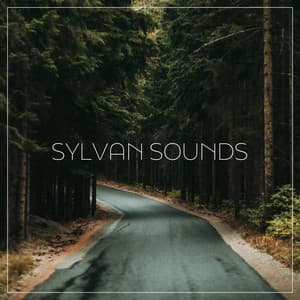 Sylvan Sounds: Ease Your Mind to the Relaxing Sounds of the Forest - Calming Music Ensemble