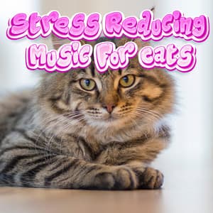 Deep Soothing Music For Anxious Ill and Stressed Cats - Stress Reducing Music For Cats