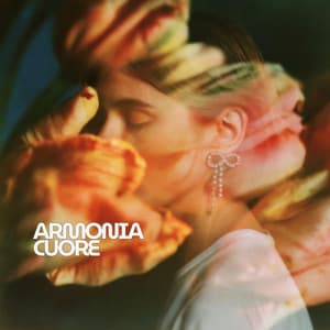 Camera del Tono Sanante - Armonia Cuore