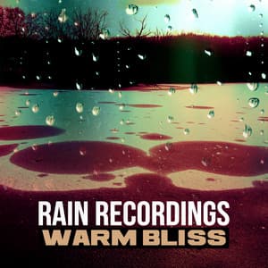 Warm Bliss - Rain Recordings