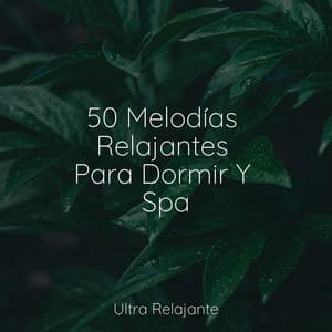50 Melodías Relajantes Para Dormir Y Spa - Meditaciónessa