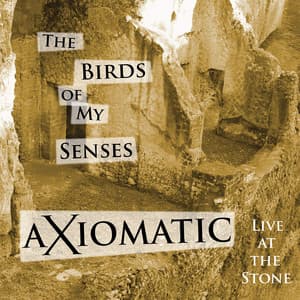 Axiomatic Live at the Stone - the Birds of My Senses - Robert Musso