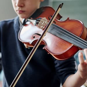 Orchestra for Zen: Meditation Symphony Tunes - Charles Anderson