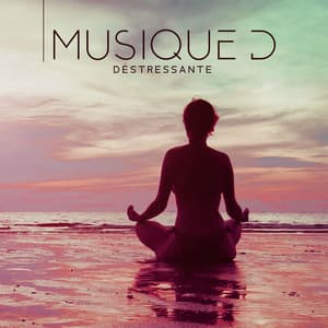 Musique déstressante: Musique instrumentale calme et relaxante pour le sommeil et la méditation - Espace détente