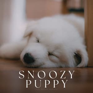 Snoozy Puppy - Official Pet Care Collection