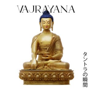 Vajrayana：タントラの瞬間、若返りのタントラの練習、性的ストレスの軽減、トラウム後のヨガのポーズ - 音楽のタントラマスター