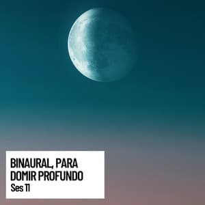 Binaural, Beats binaurales para domir profundo, Sesion 11 - Sonido Del Bosque y Naturaleza