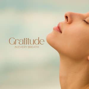 Gratitude in Every Breath - Mindfullness Meditation World